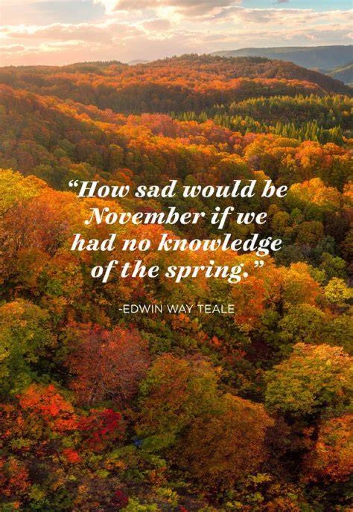 24 November Quotes That Will Make You Thankful for Fall November