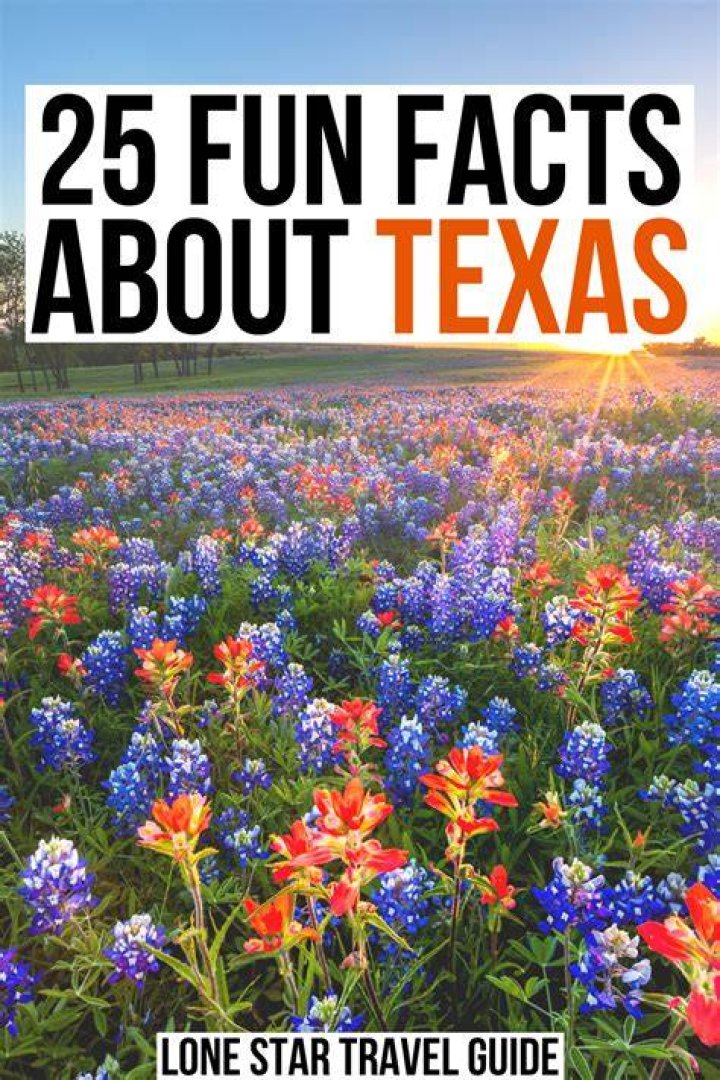 25 Interesting Facts about Texas Swedish Nomad