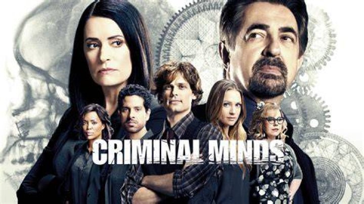 Criminal Minds' Dr. Spencer Reid Then Dr Reid, Dr Spencer Reid