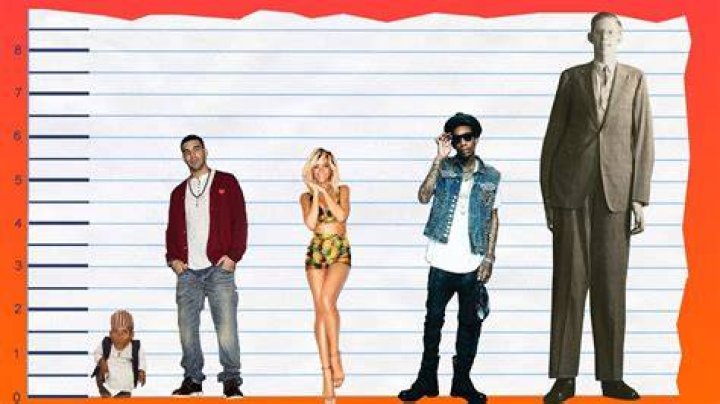 How Tall Is Drake And Other Interesting Facts