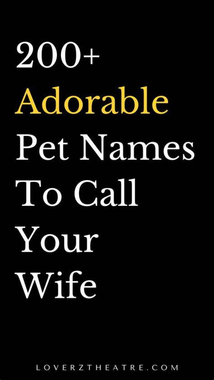 Lover Pet Names 200+ Adorable and Cute Names