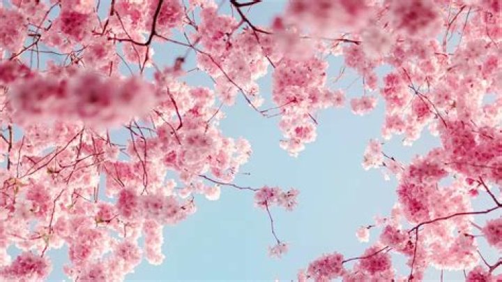 Pin on Hd Wallpaper Full