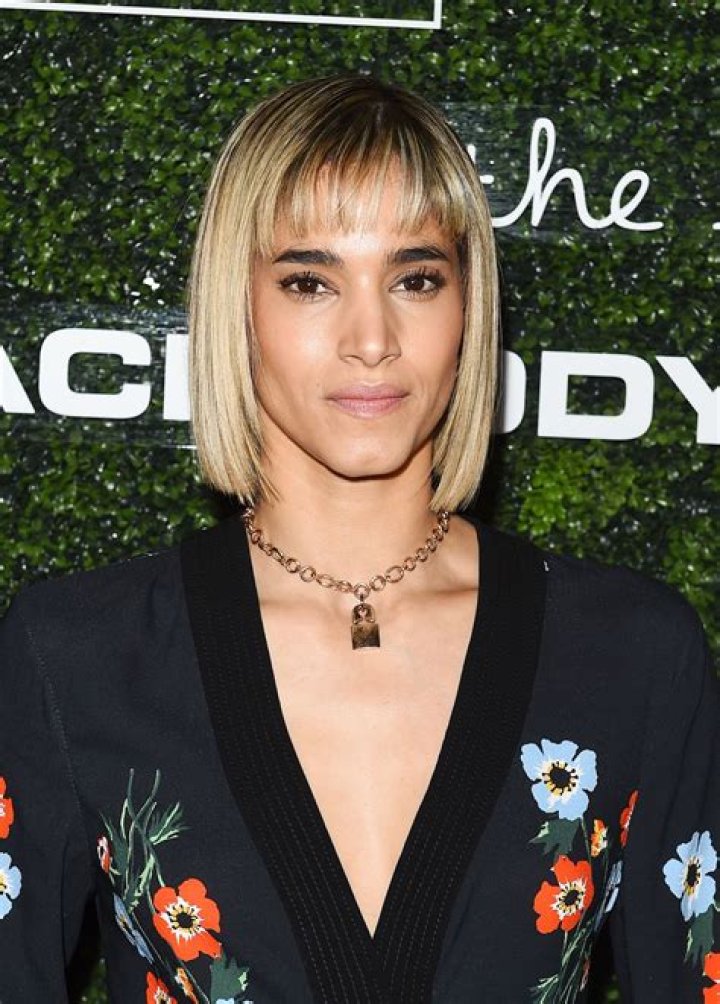 SOFIA BOUTELLA at 2017 GO Campaign Gala in Hollywood 11/18/2017