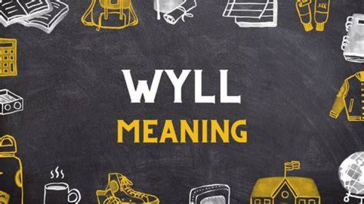 What does WYLL mean on TikTok and Snapchat? The US Sun